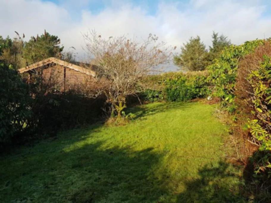 Gwel-Y-Cwm - Valley View Trawsfynydd Exterior photo
